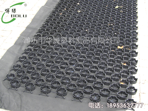 為什么道路兩邊的草地要使用植草板?