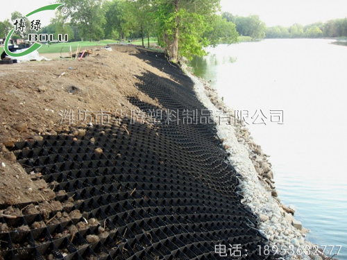 土工格室施工現場